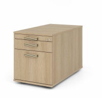 Container TC20 SG Eiche