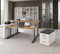 Container TC30 BS grau