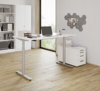 Container TC30 CE grau