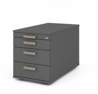 Container TC30 SG Graphit