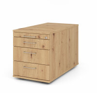 Container TC30 BS Asteiche