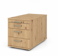 Container TC30 SG Asteiche