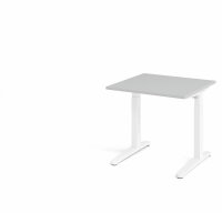 Schreibtisch XB08 Grau/Weiß