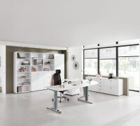 Schreibtisch XB12 Buche/Graphit