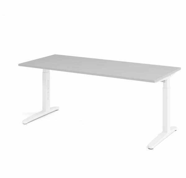 Schreibtisch XB19 Grau/Weiß