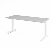 Schreibtisch XB19 Grau/Weiß