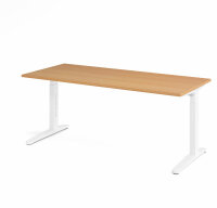 Schreibtisch XB19 Buche/Weiß