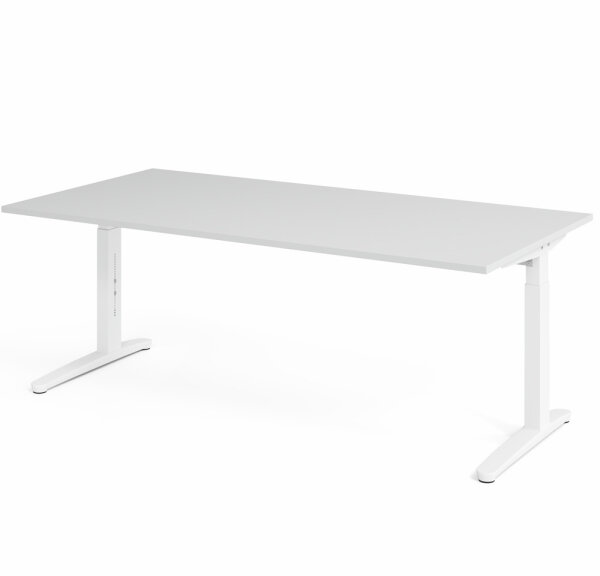 Schreibtisch XB2E Grau/Weiß