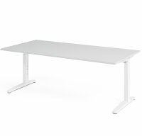 Schreibtisch XB2E Grau/Weiß