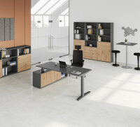 Schreibtischkombi XB19, Sideboard 1751S