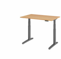 Schreibtisch XBHM 12 Buche/graphit