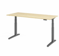 Schreibtisch XBHM 19 Ahorn/Graphit