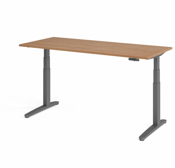 Schreibtisch XBHM 19 Nussbaum/Graphit