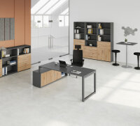 Schreibtisch Tisch-Sideboard-Kombination RS 160cm