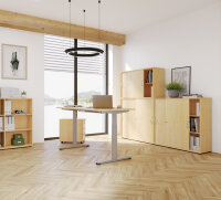 Schrank Schiebetürenschrank 1752/V1753 120cm