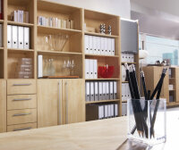 Schrank Flügeltürenschrank Glas 7 80cm