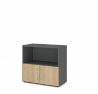 Schrank Kombischrank Flügeltüren FW 80cm