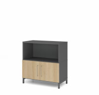 Schrank Kombischrank Flügeltüren FW 80cm