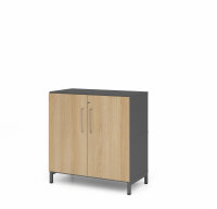 Schrank Flügeltürenschrank FW 80cm