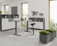 Schrank Flügeltürenschrank FW 80cm