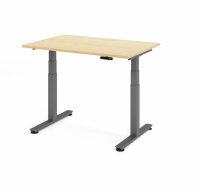 Schreibtisch Sitz-Steh-Tisch XDSM 120cm