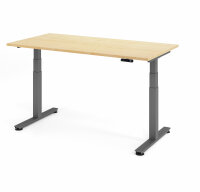 Schreibtisch Sitz-Steh-Tisch XDSM 160cm