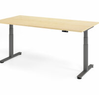 Schreibtisch Sitz-Steh-Tisch XDSM 200cm