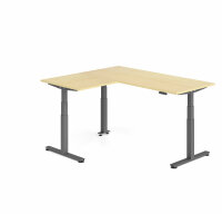 Schreibtisch Sitz-Steh-Tisch XDSM 160cm