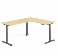 Schreibtisch Sitz-Steh-Tisch XDSM 240cm