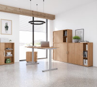 Schreibtisch Sitz-Steh-Tisch XMST 120cm