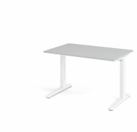 Schreibtisch XB12 Grau/Weiß