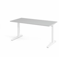 Schreibtisch XB16 Grau/Weiß