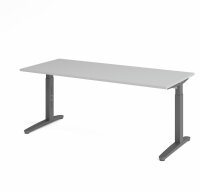 Schreibtisch XB19 Grau/Graphit
