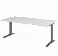 Schreibtisch XB2E Grau/Graphit